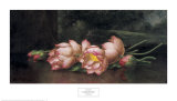 Lotus Flowers: a Landscape Painting in the Background Affiches par Martin Johnson Heade