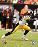 Troy Polamalu Photo