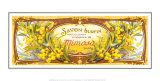 Savon Mimosa Láminas