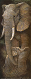 Protective Care Posters by Ruane Manning