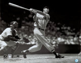 Ted Williams Photo