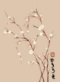 Almendro Oriental IV Posters by Paz 