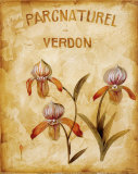 Parcnaturel IV Posters by Loretta Linza