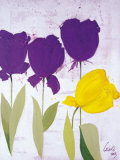 Tulipan I Prints by Celeste 