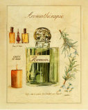 Aromatherapie, Romarin Arte por Laurence David Aromatherapie, Romarin Arte por Laurence David