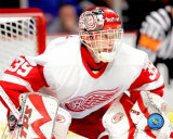 Dominik Hasek Photo