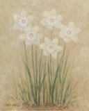 Narcisos blancos Pósters por Debra Lake Narcisos blancos Pósters por Debra Lake
