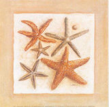 Etoiles De Mer 3 Láminas por Laurence David