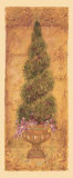 Italian Cypress Poster by Shari White