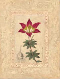 Lilium Prints by Javier Fuentes Lilium Prints by Javier Fuentes