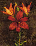 Red Lilies Prints by John Seba