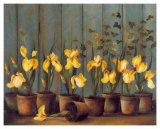 Iris Jaunes Póster por Fabrice De Villeneuve Iris Jaunes Póster por Fabrice De Villeneuve
