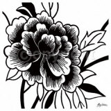 Black Rose I Poster par Hilary Anderson