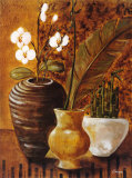 Travel Story II Prints by Loretta Linza