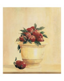 Pomegranates Prints by Hampton Hall