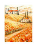 Campo de amapolas Pósters por Svetlana Campo de amapolas Pósters por Svetlana