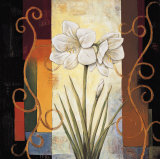 Amaryllis Print by Jill Deveraux