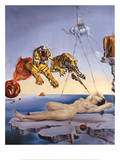 Uni, jonka aiheuttaa mehiläisen lento granaattiomenan ympäri (Dream Caused by the Flight of a Bee around a Pomegranate), noin 1944 Poster tekijänä Salvador Dalí Uni, jonka aiheuttaa mehiläisen lento granaattiomenan ympäri (Dream Caused by the Flight of a Bee around a Pomegranate), noin 1944 Poster tekijänä Salvador Dalí