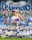 Indianaplois Colts Super Bowl XLI Photo