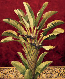 Traveler's Palm Prints by Rodolfo Jimenez