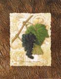 Fruits of the Vine I Posters