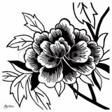 Black Rose II Láminas por Hilary Anderson Black Rose II Láminas por Hilary Anderson