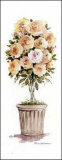 Rose Topiary (S) Póster por Carol Robinson Rose Topiary (S) Póster por Carol Robinson
