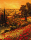 Toscano Valley II Póster por Art Fronckowiak Toscano Valley II Póster por Art Fronckowiak