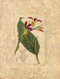 Estudio de Flores I Prints by Javier Fuentes