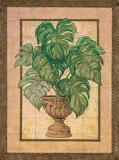 Plante d'ornement classique Poster par Janet Kruskamp