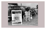 Perro a la venta Láminas Perro a la venta Láminas