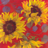 Sunflower II Pósters por Shari White
