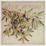 Oliva Europea Posters by Vincent Jeannerot