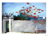 Wall Nassau Giclée-Druck von Winslow Homer
