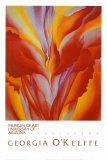 Canna rouge Posters par Georgia O'Keeffe