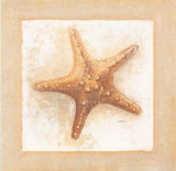 Etoiles De Mer 4 Pósters por Laurence David