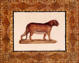 Leopard Poster by Gene Ouimette Leopard Poster by Gene Ouimette