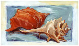 Caracolas II Posters by Cruz 