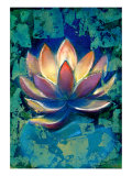 Lotus II Giclee Print by Marcella Rose