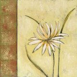 Celadon Beauty II Posters by Rebecca Burton