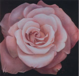 Passion in Rosa II Kunst von Rumi 