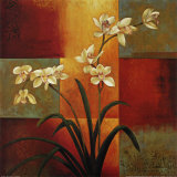 Orchidée blanche Posters par Jill Deveraux