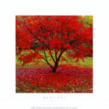 Arbre rouge Posters par Bent Rej