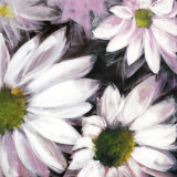 Flor Blanca Posters by Celeste 