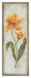 Lis du coucher du soleil Affiches par Peggy Abrams