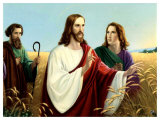 Christus Im Ahrenfeld Poster par Giovanni 
