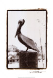 Pelican Perch Art by Laura Denardo