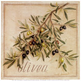 Olivea Art by Vincent Jeannerot