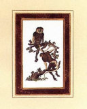Cochinchina Monkey Print
