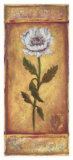 Oriental Poppy Prints by Shari White